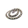 RUBBER SNAKE - ROCK PYTHON 66CM - ΠΥΘΩΝΑΣ ΤΩΝ ΒΡΑΧΩΝ KM-53114