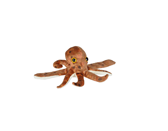 CK HUGGERS OCTOPUS 20CM - OCTOPUS KM-21422
