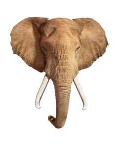 I AM PUZZLE - I AM ELEPHANT IAM3007