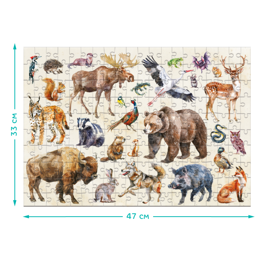 MONTESSORI PUZZLE FOREST ANIMALS 200 ΤΜΧ - ΖΩΑ ΤΟΥ ΔΑΣΟΥΣ DO300629 - Image 5