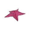 ΑΣΤΕΡΙΑΣ (STARFISH),SPLASH LARGE 70cm NP26136